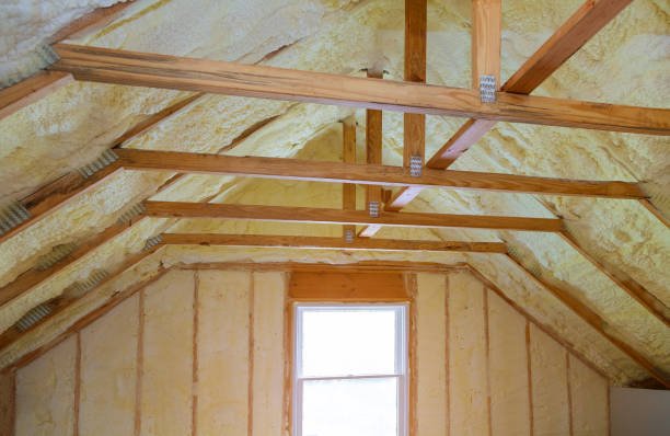 Best Specialized Insulation Services in Princeton Meadows, NJ