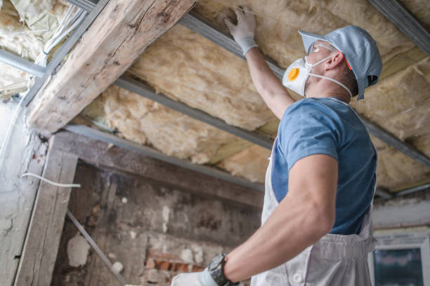 Best DIY Insulation Kits and Guidance in Princeton Meadows, NJ